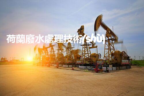 荷蘭廢水處理技術(shù)：探秘“低地之國”的治水智慧？